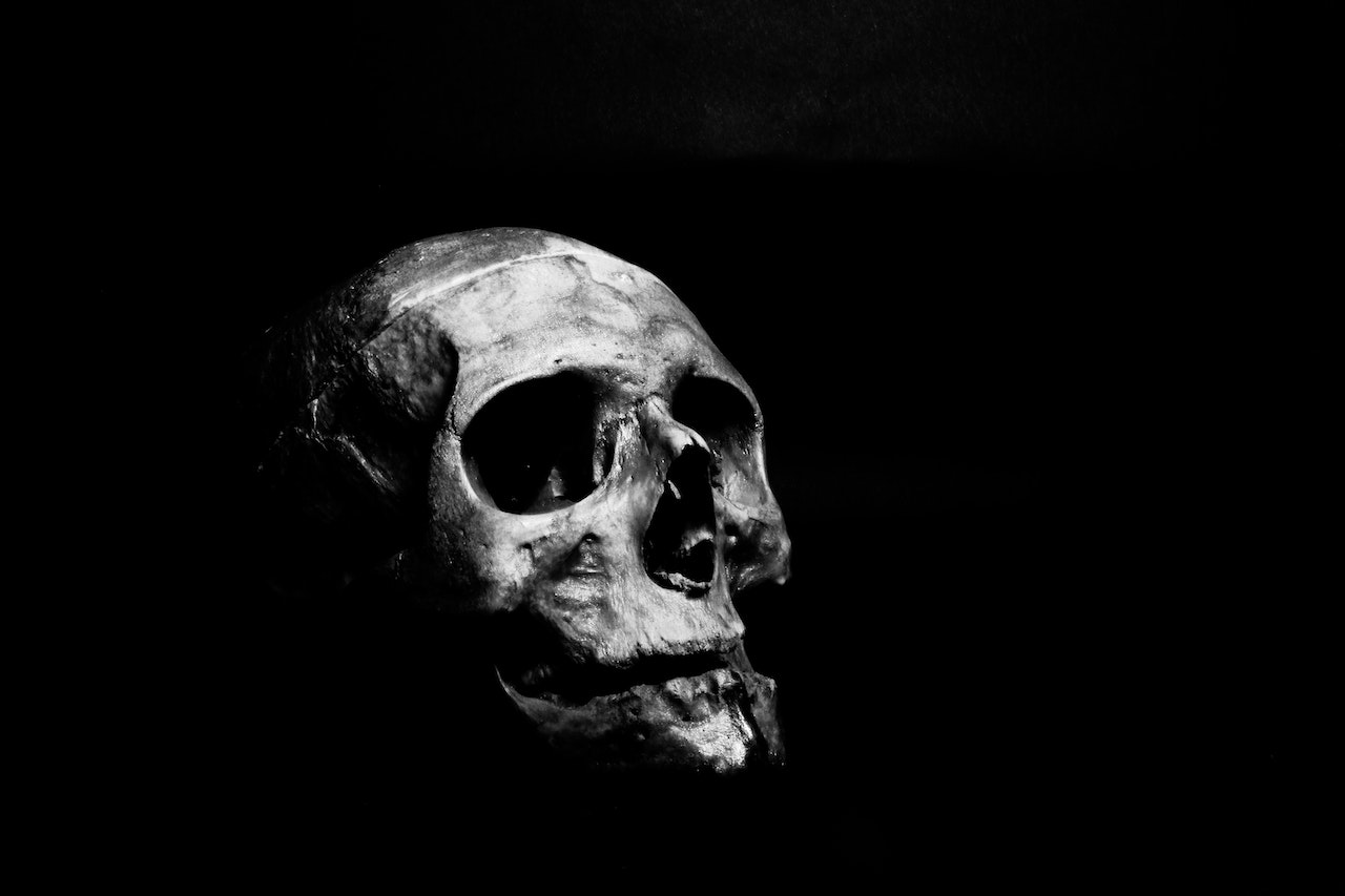 Comment porter une Skull Jacket